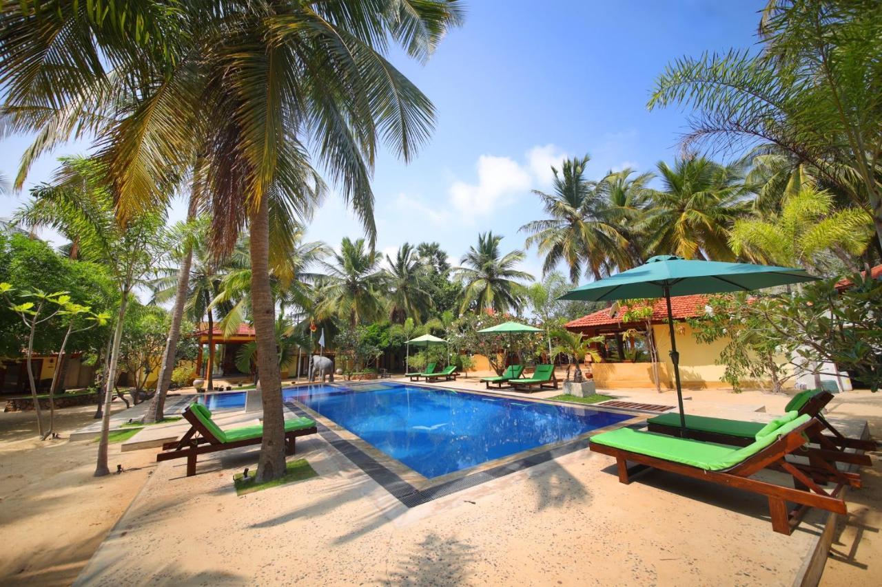 Horizon Kitesurfing Beach Resort Kalpitiya Exteriör bild